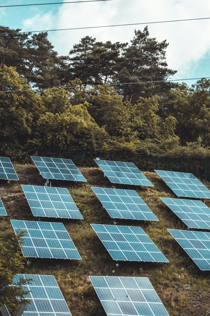 8kW Modern Bungalow Elevated Solar Array